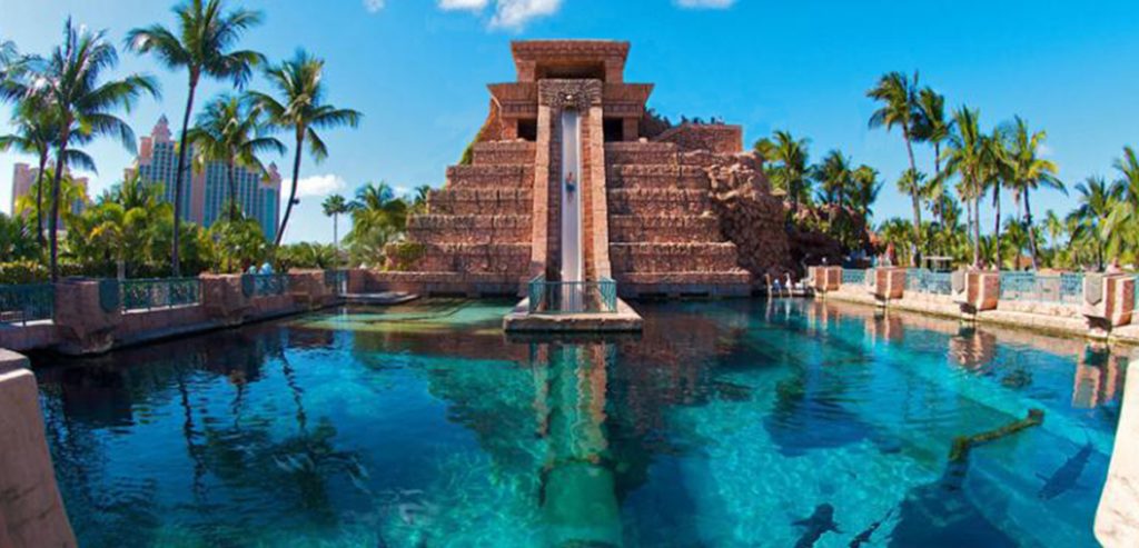 Piscinas… ¡Con tiburones! 41 Piscinas… ¡Con tiburones! 40