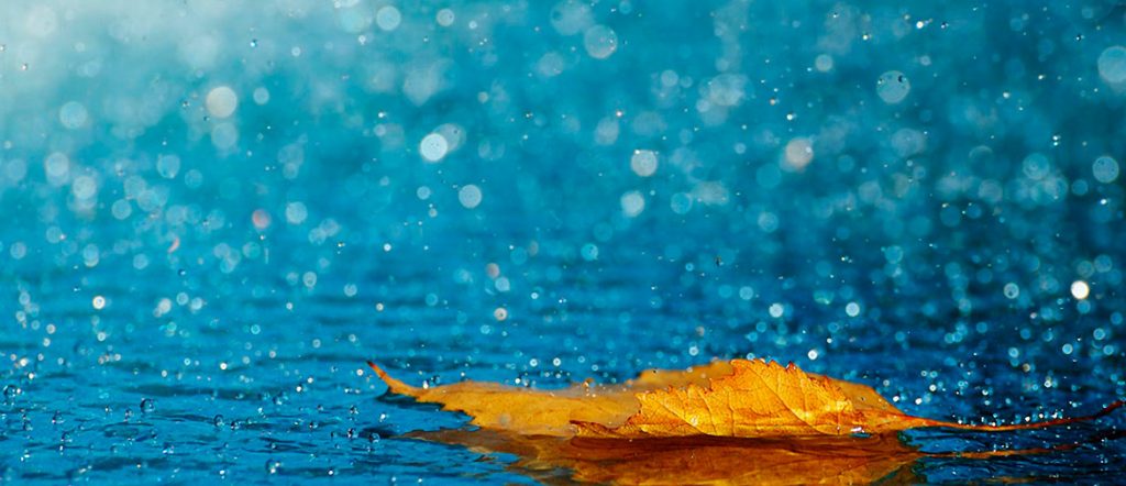 Como ahorrar agua en el jardín 37 Como ahorrar agua en el jardín 36