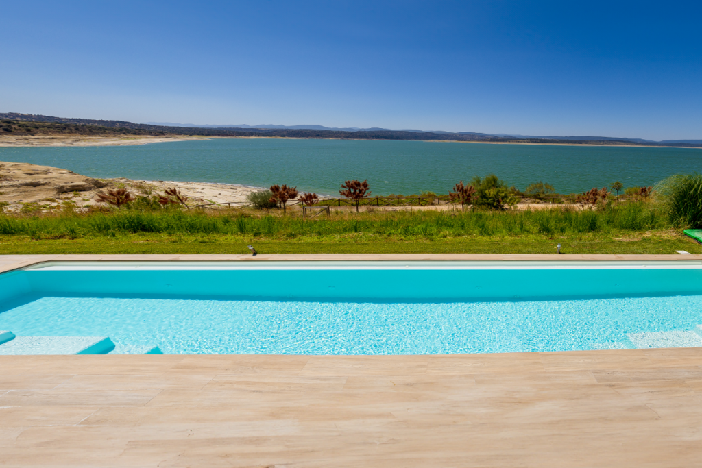 ¿Cómo eliminar bichos nadadores de mi piscina? | PiscinasDTP 25 Eliminar bichos nadadores