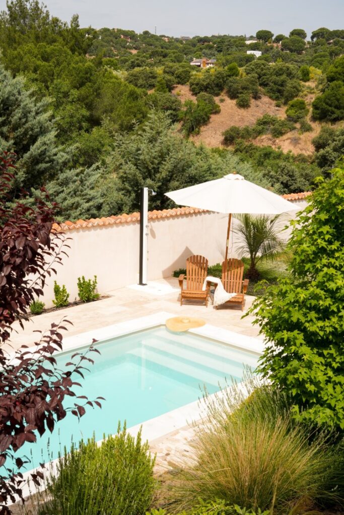 Plantas para Piscinas: La Guía Definitiva de Piscinas DTP para un Oasis de Ensueño 6 Plantas para Piscinas: La Guía Definitiva de Piscinas DTP para un Oasis de Ensueño 5