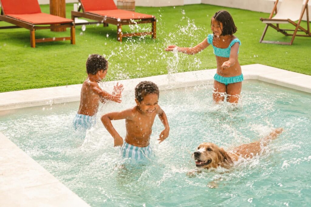 Perros en piscinas: A tener en cuenta antes del chapuzón 4 Perro en la piscina